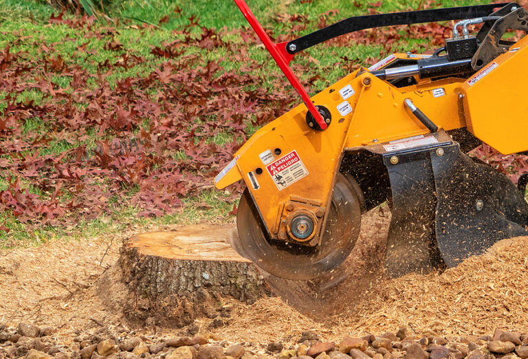 stump grining and removal in toronto, mississauga, etobicoke, oakville and surrounding areas