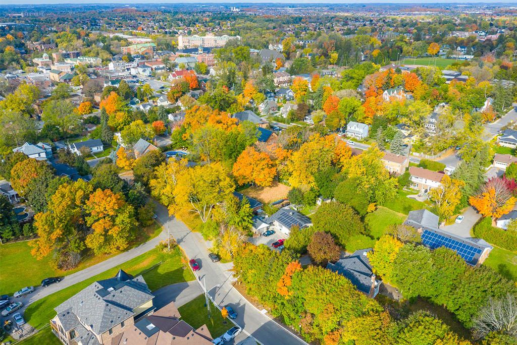 Arborist Reports and Permits In toronto, mississauaga, etobicoke