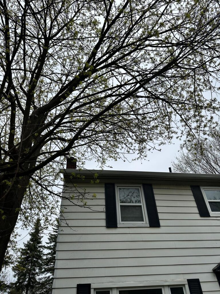 A low-angle view looking up at a large, mature deciduous tree leaning heavily over the roofline of a two-story residential house in the Upper Beaches, Toronto. The house features white siding, black window shutters, and a brick chimney. The tree's massive canopy and thick branches extend directly above the home's roof against an overcast sky, representing a significant structural tree hazard requiring professional arborist assessment and precision removal