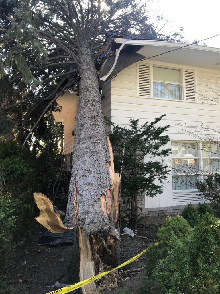 A massive Spruce tree that has snapped violently near the base, with its heavily splintered trunk leaning sharply against the roof of a two-story white residential house in Glen Levine, Mississauga. The heavy timber has crushed the home's upper eaves, tearing away the fascia and gutter system. Yellow caution tape surrounds the shattered base of the tree in the front yard to secure the hazardous area pending emergency structural assessment and removal.