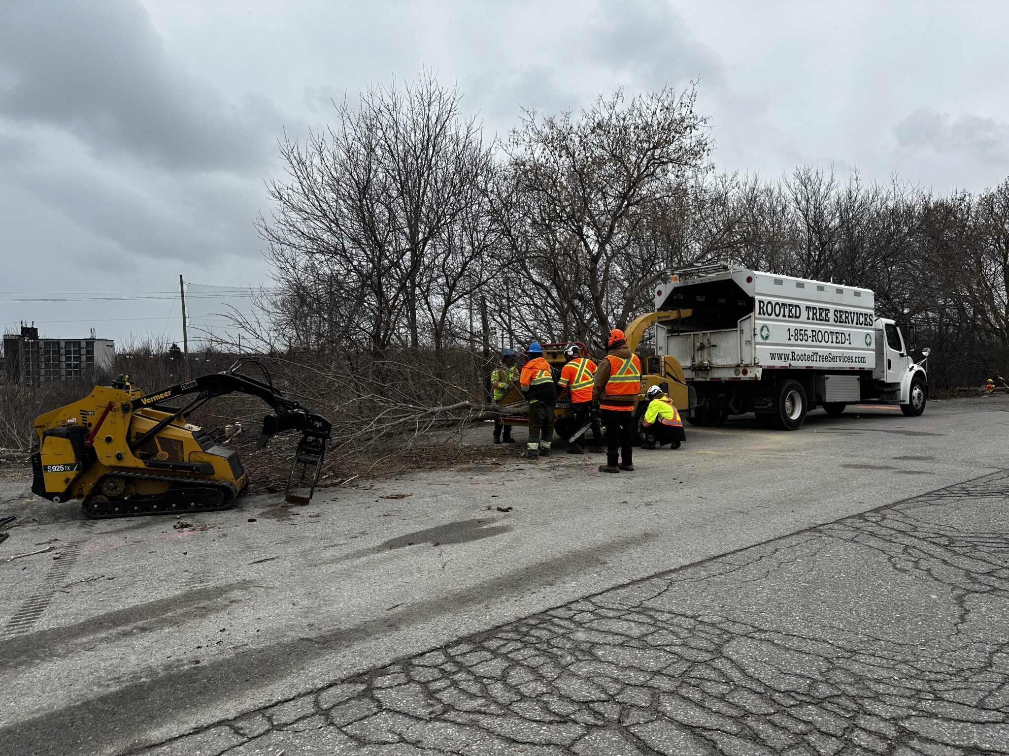 Rooted Tree Services crew members in high-visibility safety gear feeding branches into a wood chipper alongside a small yellow excavator during transit corridor clearing under an overcast sky.